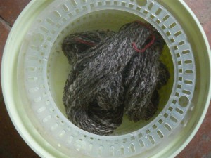 Lavage d'un écheveau